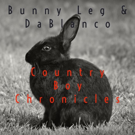 Real Country Boys ft. Dablanco cover art