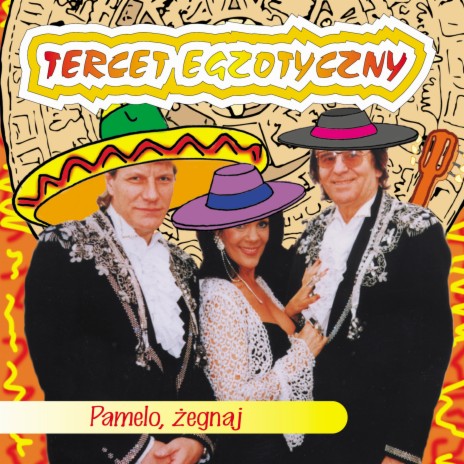 Czarna woalka cover art