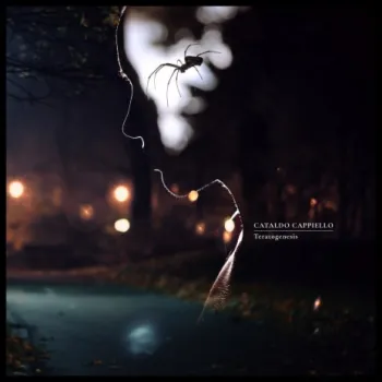 Angei cover art