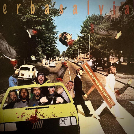 L'acqua bolle o balla? cover art