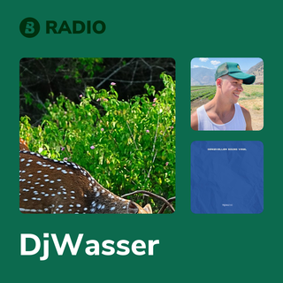 DjWasser Radio