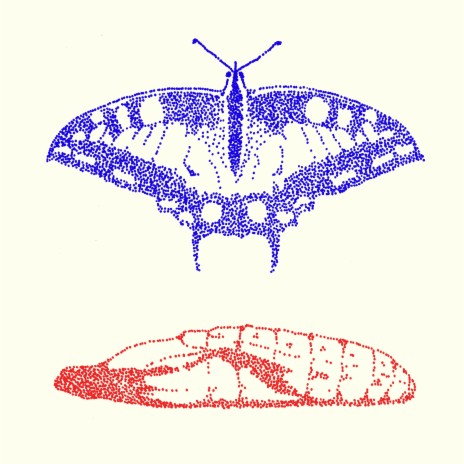 Schön ft. Plusma cover art