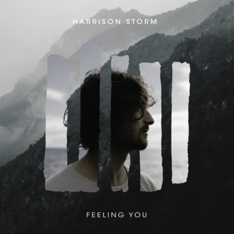 Feeling You cover art