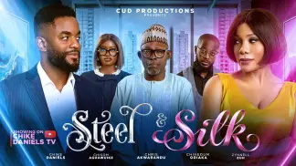 steel and silk (2026) poster