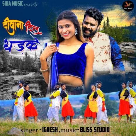 Deewana Dil Dhadke cover art