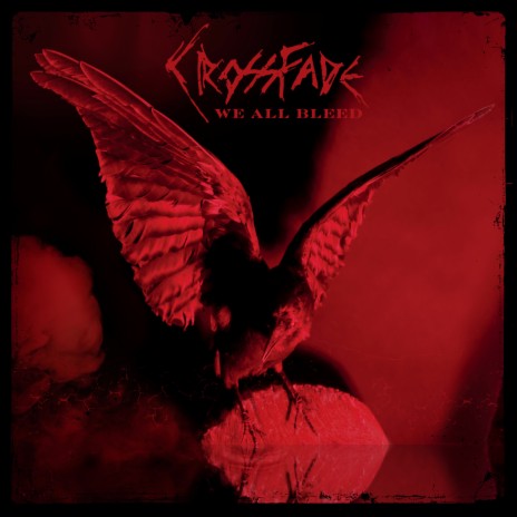 I Think You Should Know cover art