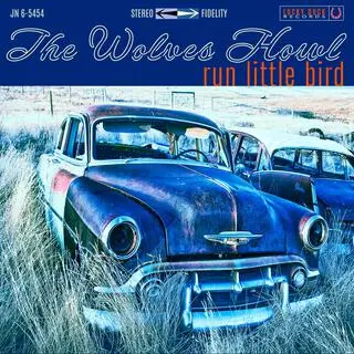 Run Little Bird cover art