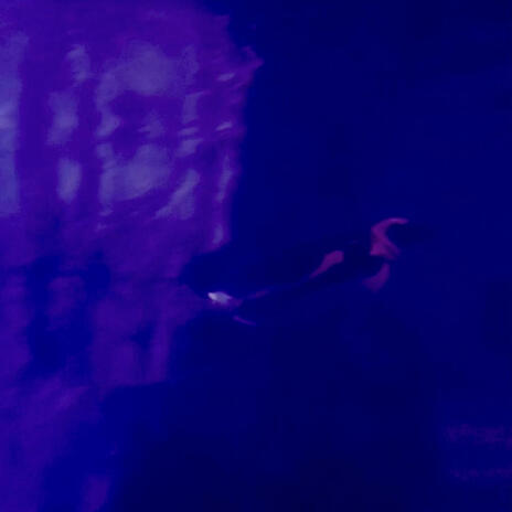 Bioluminescence cover art