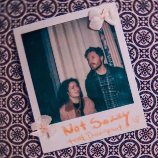 Not Sorry ft. Dauwpunt cover art
