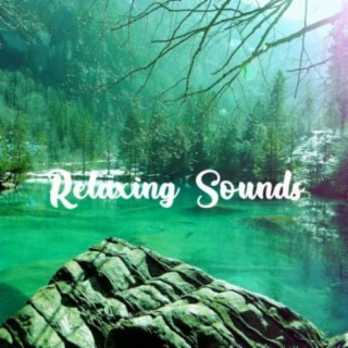 Total Relaxation ft. Snake Beats & Instrumental Rap Hip Hop