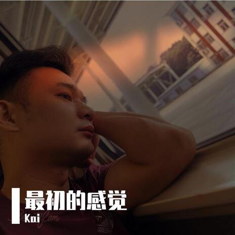 最初的感觉 cover art