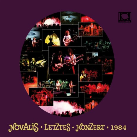 Mit den Zugvögeln (Live) cover art