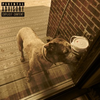 Dirty Dog