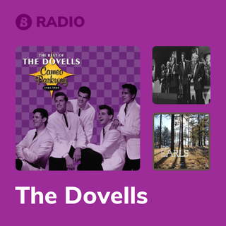 The Dovells Radio