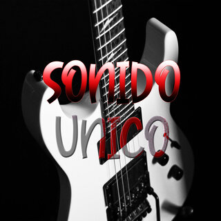 Sonido Unico