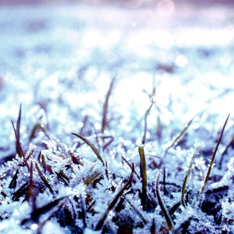 Frozen Ground ft. Kryštof Konvičný