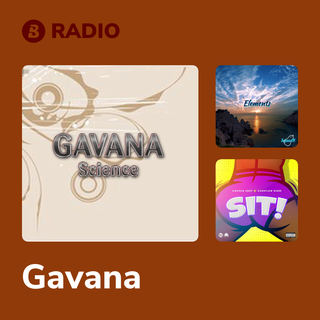 Gavana Radio