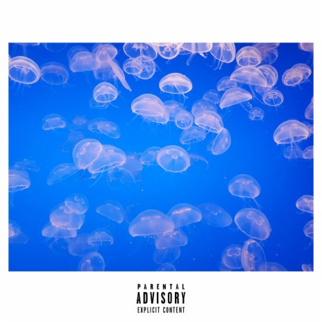 We'll Meet Again cover art