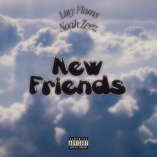 New Friends ft. Noah Zeez cover art