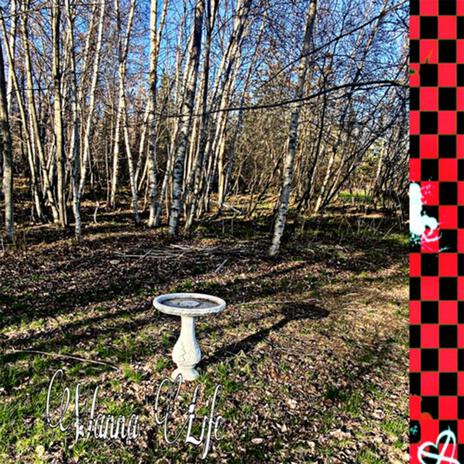 Wanna life cover art