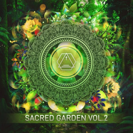 Energy, Frequency & Vibration ft. Faders cover art