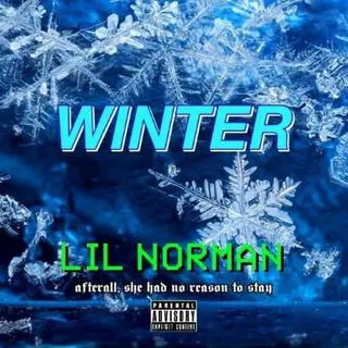 Winter (Remix) cover art