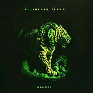 Kulihlata Tlaba cover art