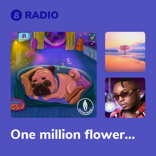 One million flowers Radio