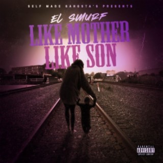 Like mother Like son cover art