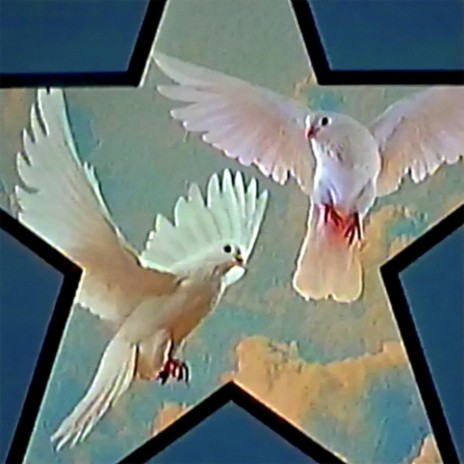 Doves cover art