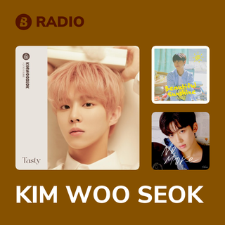 KIM WOO SEOK Radio