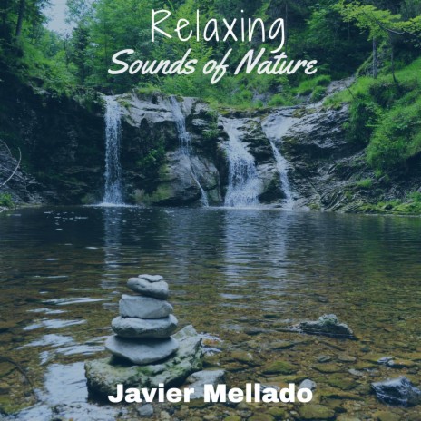Relax sonoro