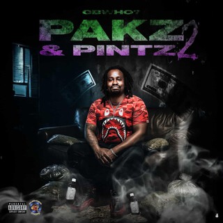 Pakz & Pintz 2