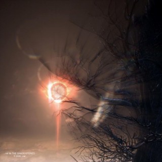 In The Shade cover art