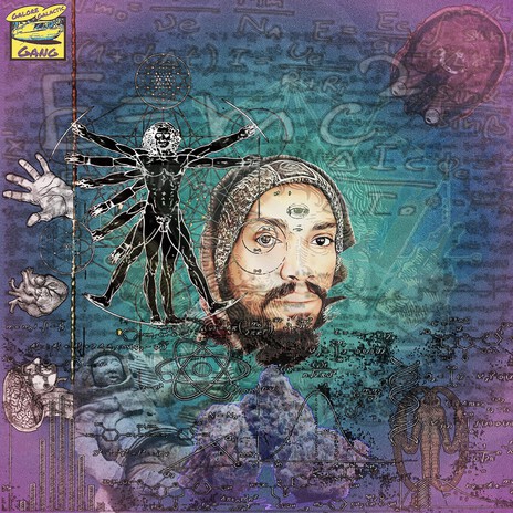 B BB Bass cover art