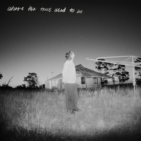 Where The Trees Used To Be cover art