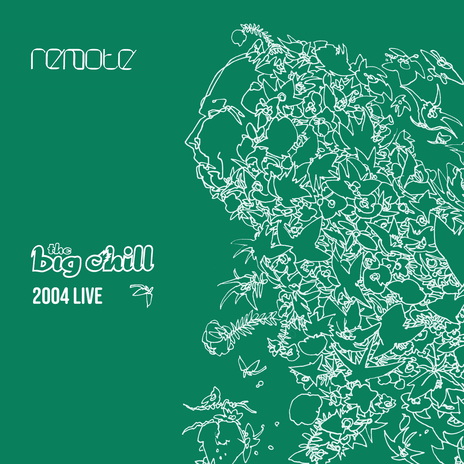 Sun Going Down (The Big Chill 2004 Live) [feat. Manja] cover art