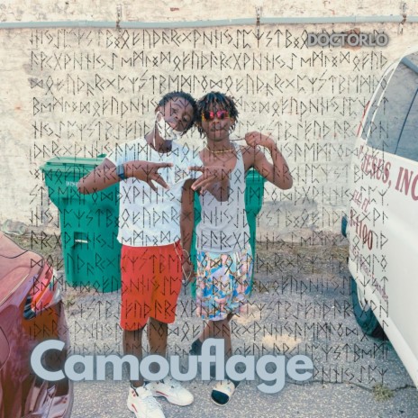 Camouflage cover art
