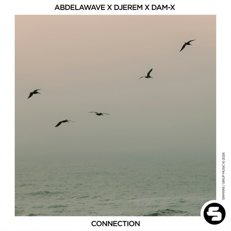 Connection ft. Djerem & Dam-X cover art