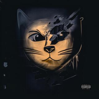Chat de gouttière