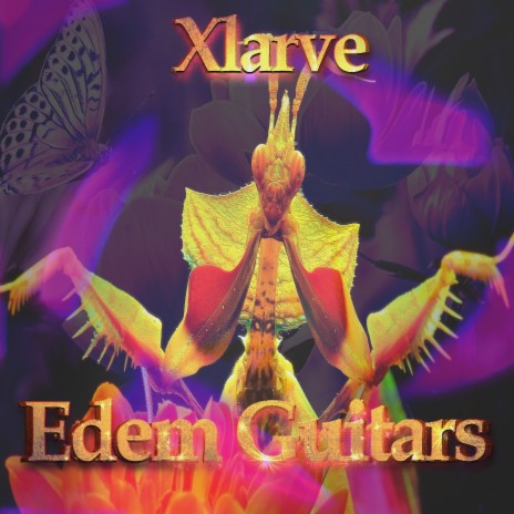 Edem Guitars (Rs Rock Mix) cover art