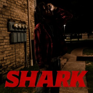 Shark cover art