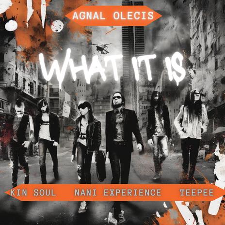 What it is (Acapella) ft. TeePeeTime, Kin Soul & Nani Experience cover art