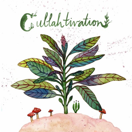 Cullahtivation Revelation