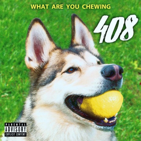 Roaming cover art