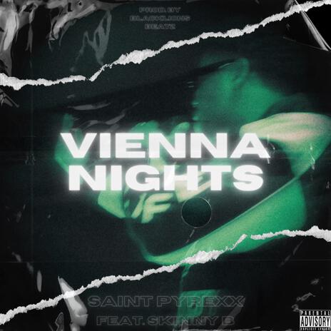 VIENNA NIGHTS ft. Skinny B cover art