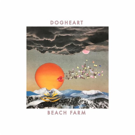 Shaky cover art