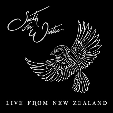 All I Wanna Do (Live From New Zealand)