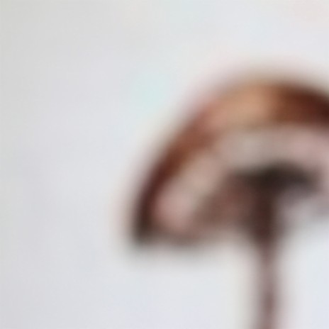 Hygrophorus russula cover art