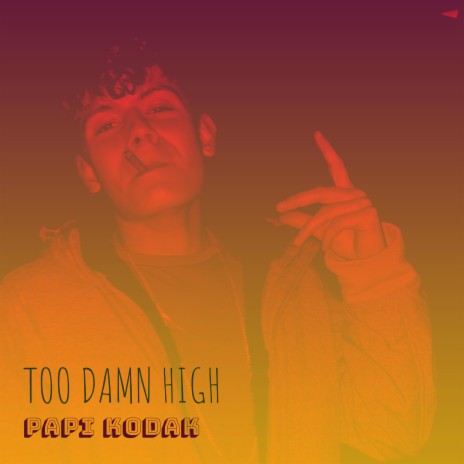 Too Damn High cover art